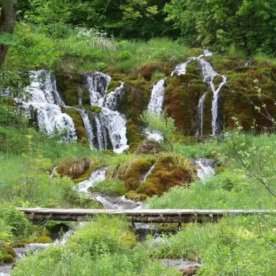 Vielfalt im Quellgebiet Weissenbronnen