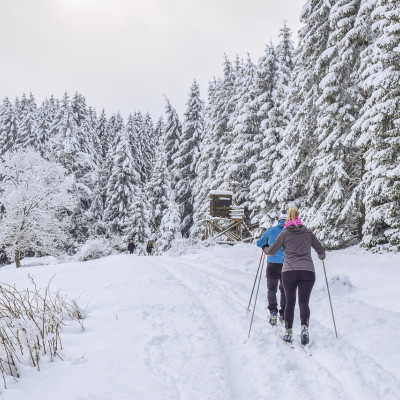 SkiBasar des TSV Buchenberg – Abteilung Langlauf