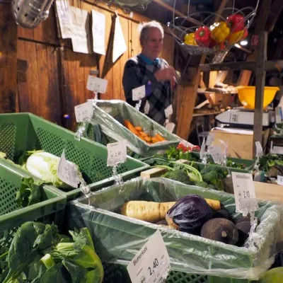 Wochenmarkt in der Dampfsäg in Sontheim