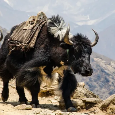 Nepal Multivisionsvortrag im Altstadthaus Kempten
