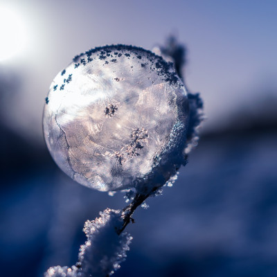 Winterzauber mit Markt der Sinne in Fischen