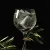 Gin & Jazz im Hotel Rosenstock in Fischen