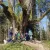 Natur- und Kulturwanderung bei Ratzenried
