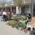 Gartenflohmarkt am Marktplatz im Oberösch Kempten