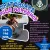 Skateboard-Kids-Workshop in Bad Hindelang