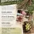 Kräuterwanderung im Wald bei Wildpoldsried
