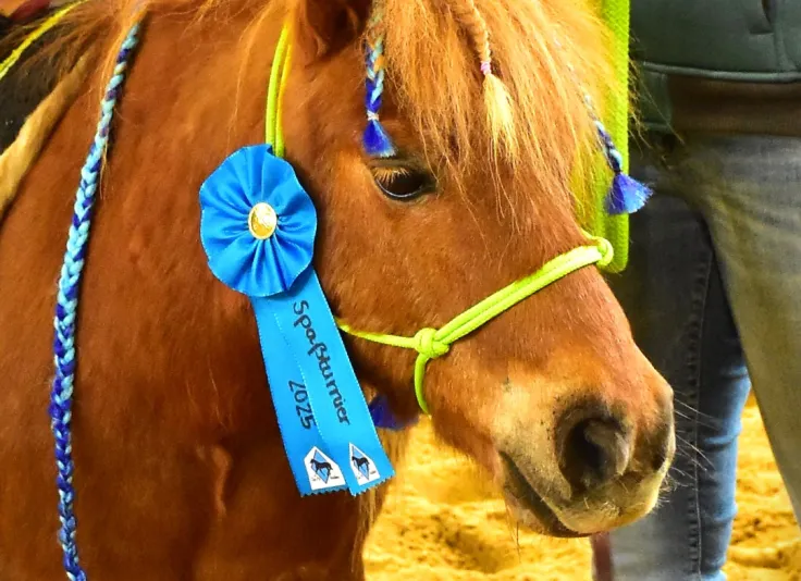 Spaßturnier des Clay Pit Stables bei Altusried