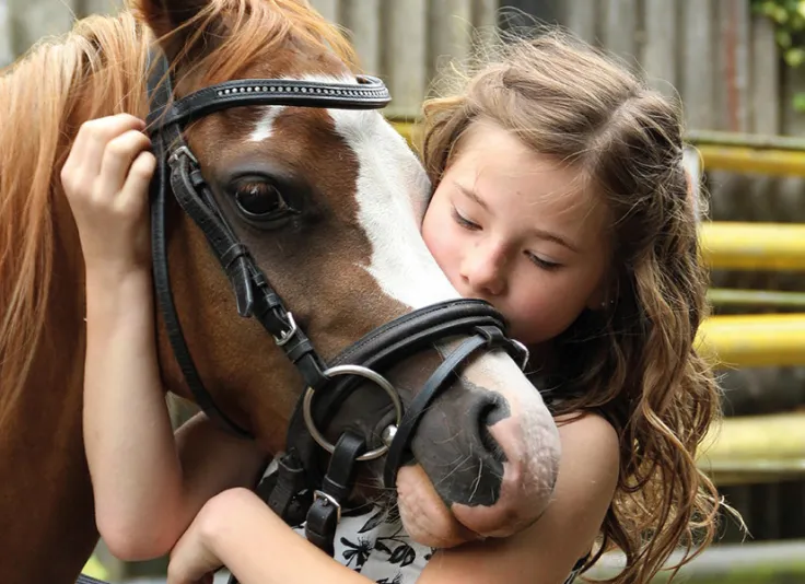 Rent a Pony in Nesselwang